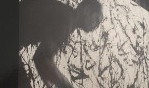 Pollock   Hans Namuth   Macula