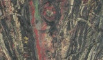 Bonnefoi Genevieve   Les années fertiles 1940 1960