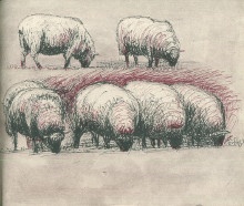 p Les moutons de Henry Moore un carnet de croquis p p Henry Moore et Kenneth Clark p