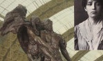 Claudel Camille   Orsay