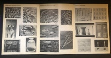  p roy adzak p p dehydration p p deshydratation p p p p Les Empreintes p p 1955 1972 p p Hahn Otto i et al i p 