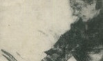 Suze Robertson