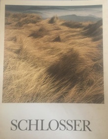 p Schlosser p p Roudillon Jean Francois p
