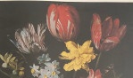 Nature morte   Peintres flamands   17e siecle