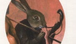 Bosch   Cees Nooteboom