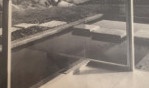 Neutra Richard   MoMA 1982