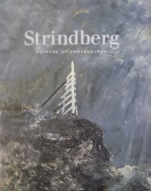 Strindberg peintre et photographe Hedstrom Per dir 