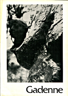 Charles Gadenne sculpteur Autour de la Conversation 1976 1982 Bommel Dominique