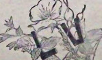 Huysmans  Trois Primitifs   Les Grünewald du Musée de Colmar, le maître de Flémalle et la Florentine du Musée de Francfort sur le Mein