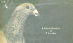 Nord   Colombophilie CNRS
